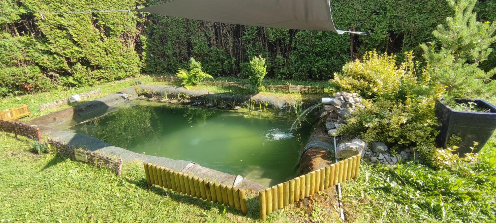 Modernes Rhombushaus Im Naturparadies Sauerland Balve Exterior foto
