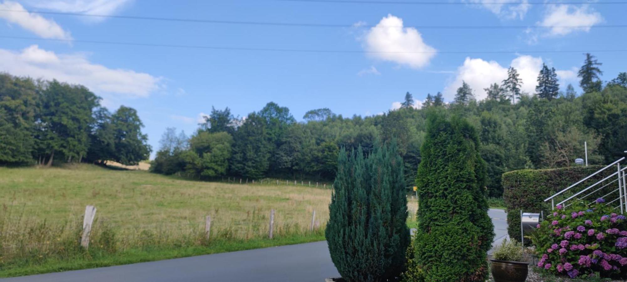 Modernes Rhombushaus Im Naturparadies Sauerland Balve Exterior foto